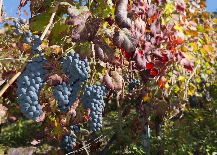 Lejlighed Gli Elfi Aosta