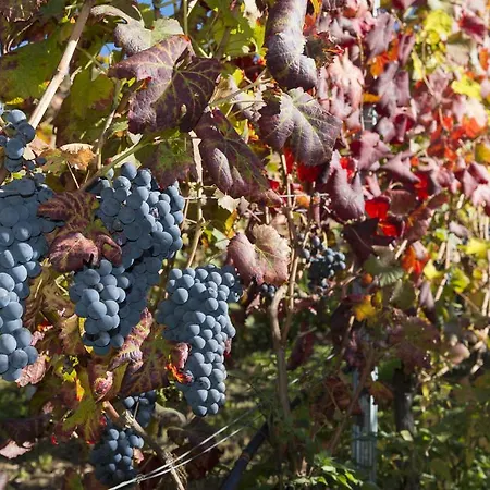 Apartmán Gli Elfi Aosta